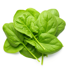Baby Spinach