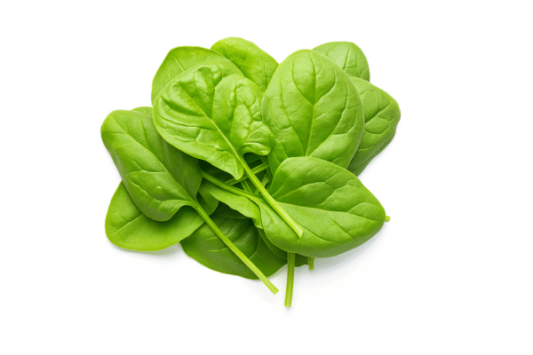 Baby Spinach