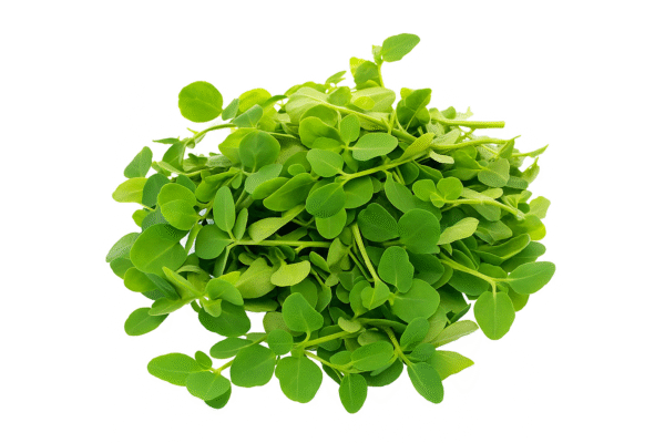 Fenugreek Leaves