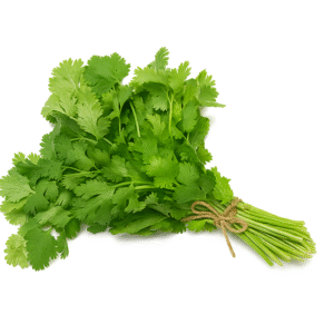 Fresh Coriander Leaves