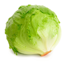 Iceberg Lettuce