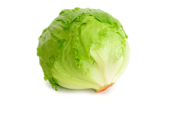Iceberg Lettuce
