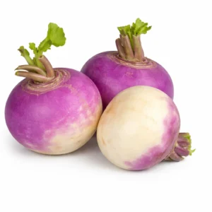 Organic Turnip – Fresh, Tender & Healthy Vegetable from Ambas Foods