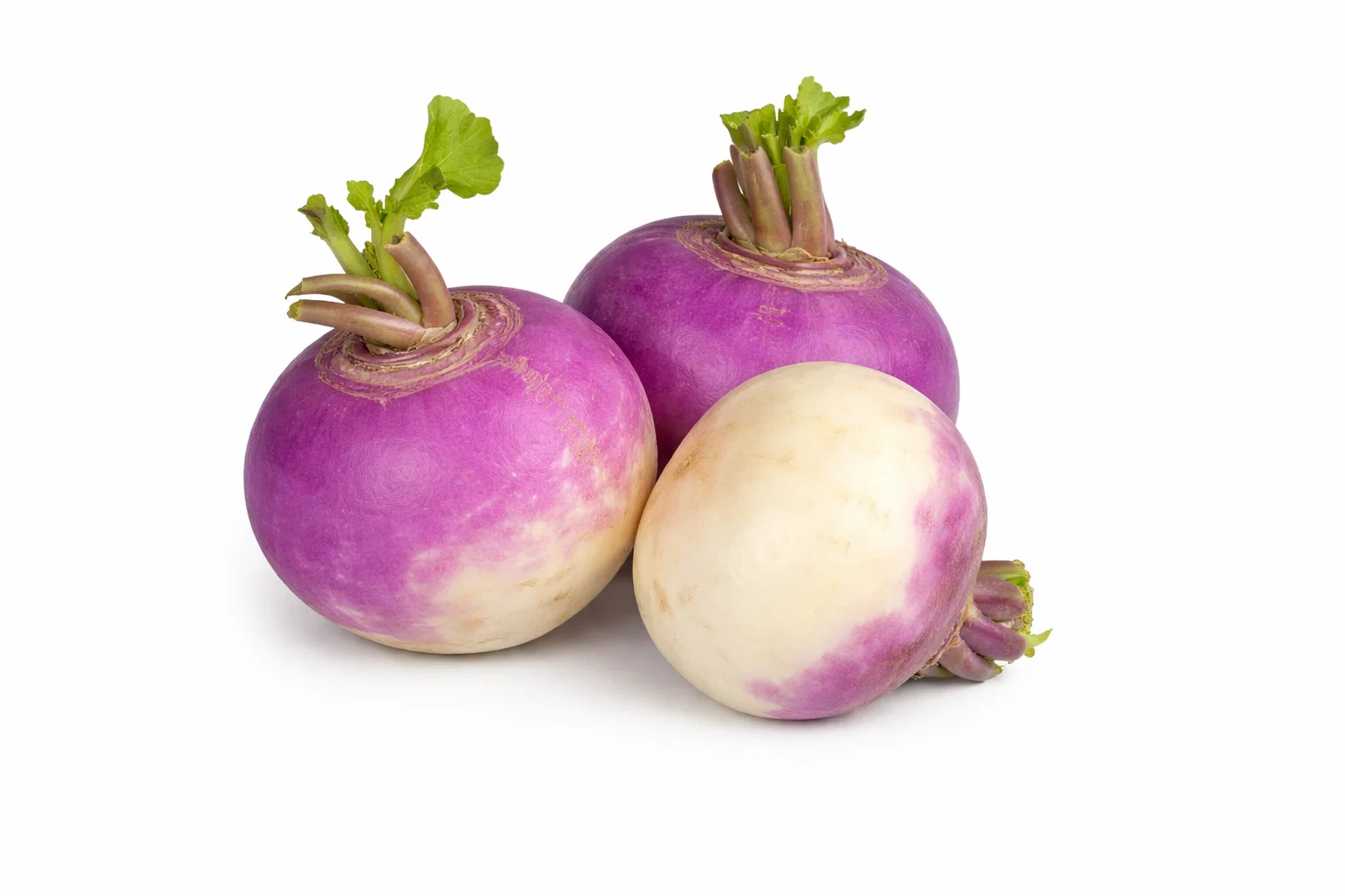 Organic Turnip – Fresh, Tender & Healthy Vegetable from Ambas Foods
