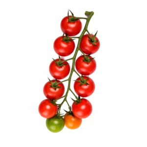 Organic Tomato Vine – Fresh, Juicy & Healthy Vegetable from Ambas Foods