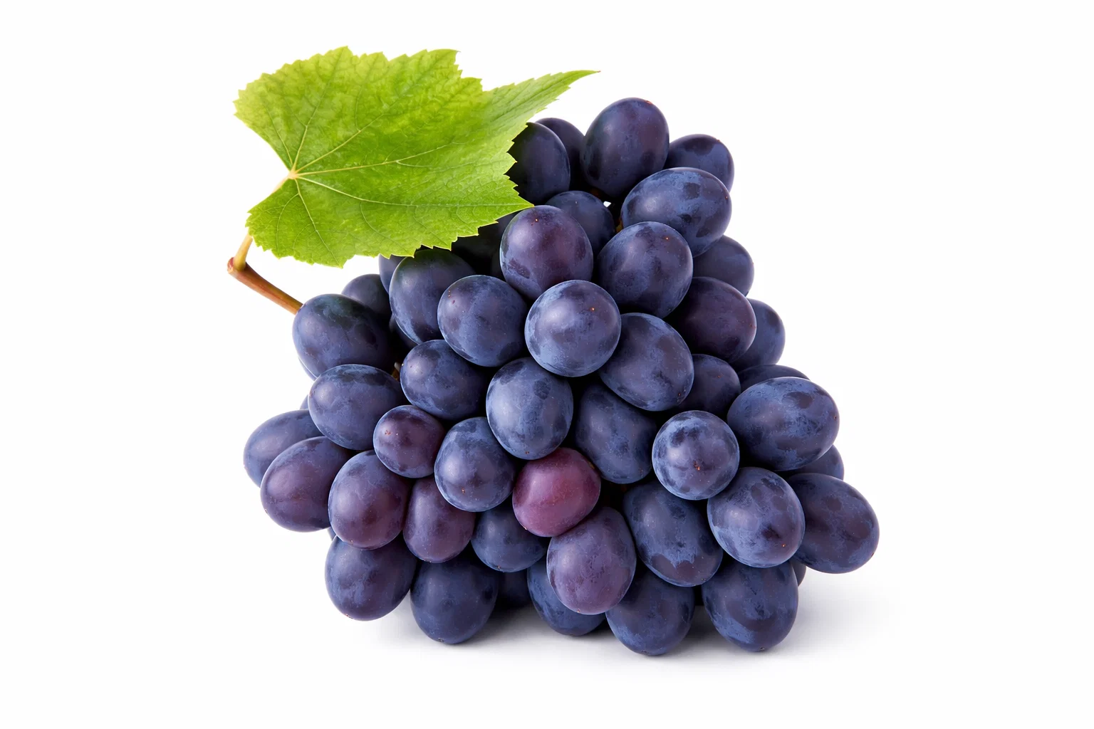 Buy Black Loose Grapes Online Fresh & Juicy Fruit from Ambas Foods