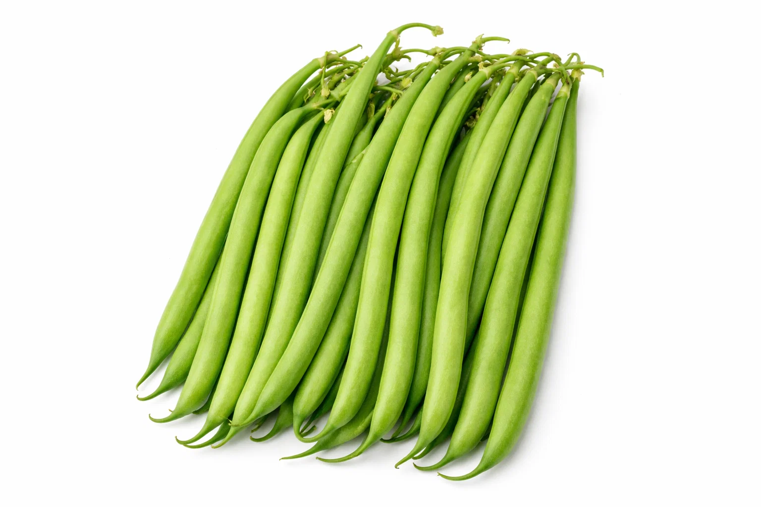 Fresh Handpicked Long Beans – Crisp and Healthy from Ambas Foods