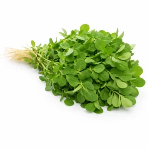 Fresh Handpicked Methi – Aromatic and Healthy from Ambas Foods