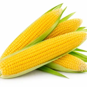 Fresh Sweet Corn – Tender, Juicy & Healthy from Ambas Foods