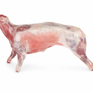 Fresh Whole Sheep – Premium Halal Meat from Ambas Foods